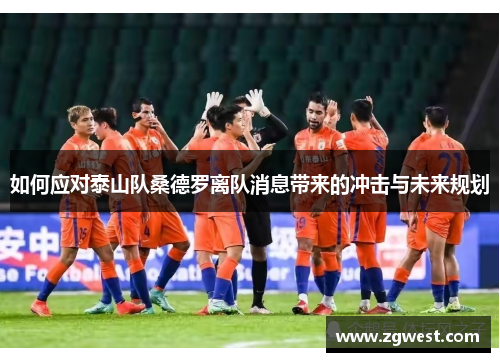 如何应对泰山队桑德罗离队消息带来的冲击与未来规划