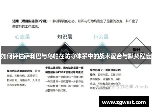 如何评估萨利巴与乌帕在防守体系中的战术配合与默契程度